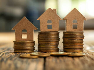 Capital Raising and Project Finance