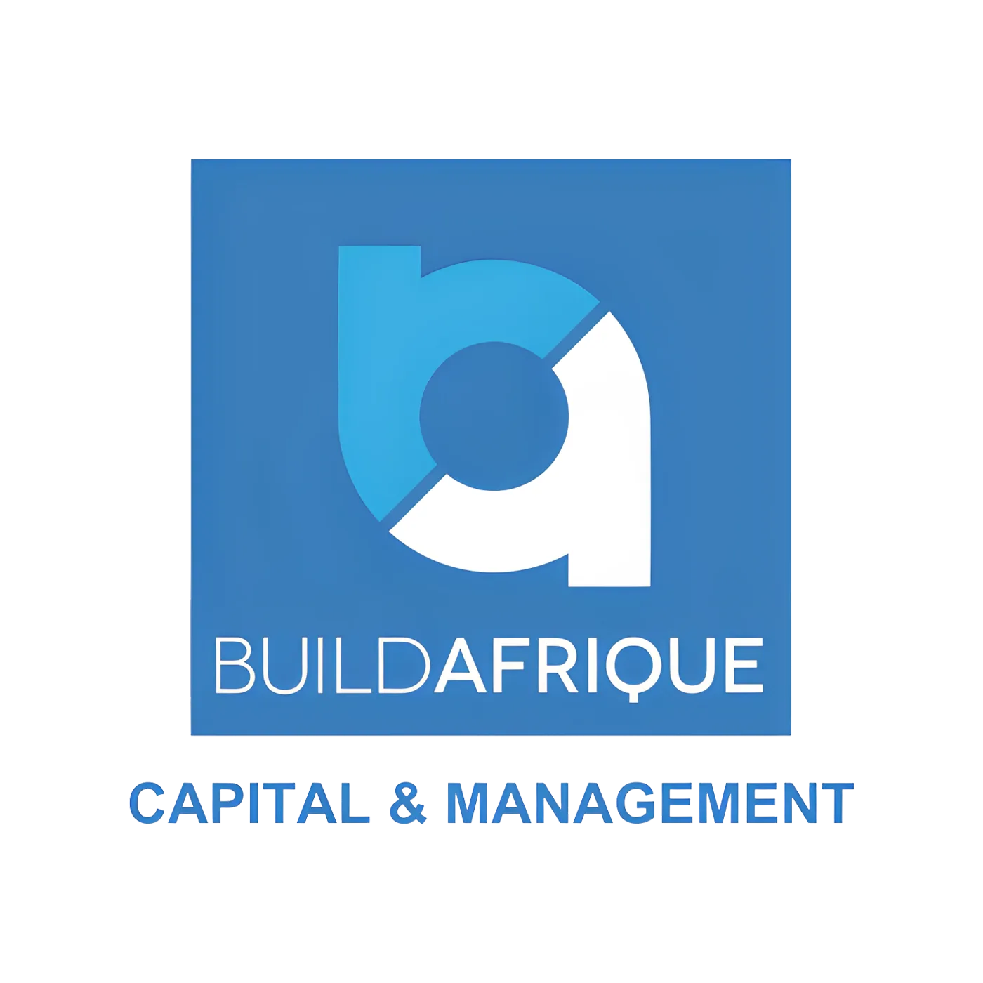 buildafrique capital and management