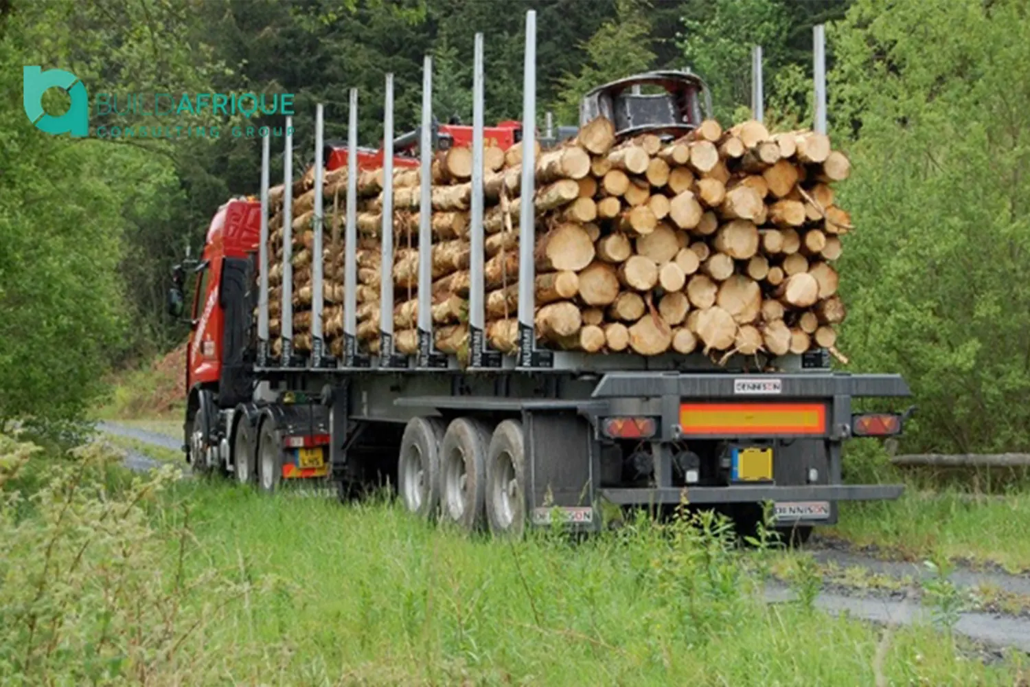 protectionism at whose expense a review of kenyas timber industry and its becoming